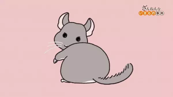 Encyclopedia of Pitiful Creatures (2021)