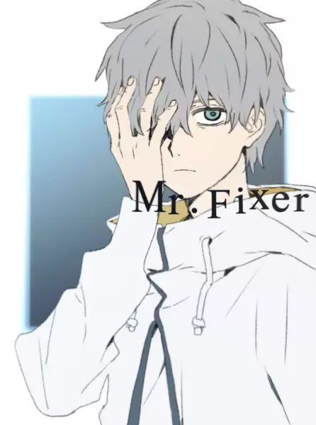 Mr. Fixer
