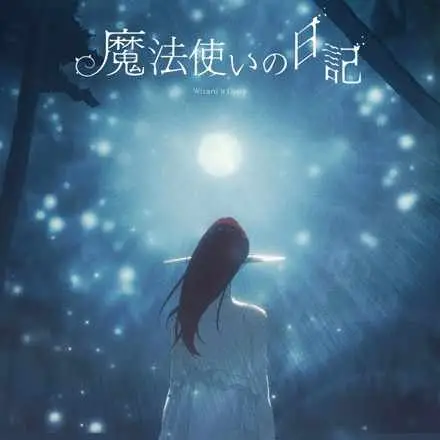 Wizard's Diary